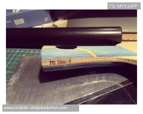 世界杯新闻从零基础到高手之路乒乓球技巧与心态全面提升指南 世界杯新闻从零基础到高手之路乒乓球技巧与心态全面提升指南