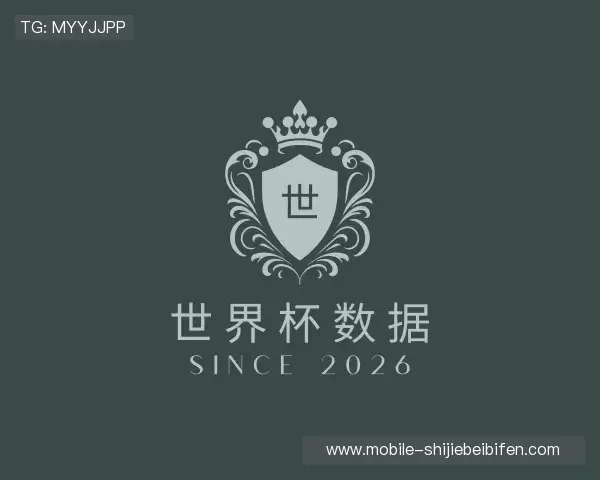 知道世界杯数据